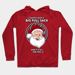 Santa's Got A Big Full Sack Hoodie